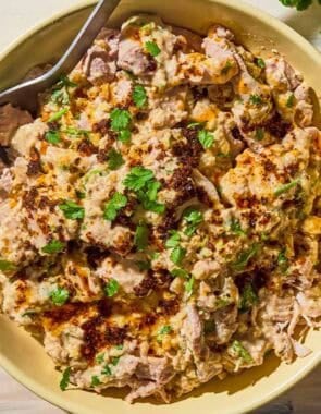 Circassian chicken in a bowl with a spoon next to 2 pieces of pita, sprigs of cilantro and a bowl of walnuts.